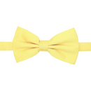 Men Bowtie-FGIA