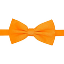 Men Bowtie-FGIA