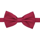 Men Bowtie-FGIA