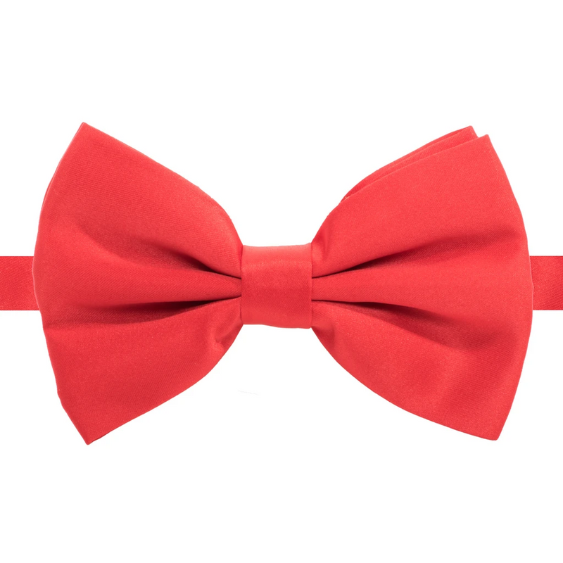 Men Bowtie-FAXIS